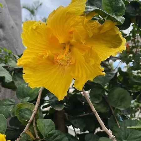 Ankerplatz - Casa Juseli - Ruhe Und Erholung * Santa Úrsula