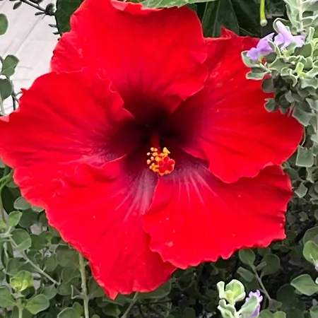 Ankerplatz - Casa Juseli - Ruhe Und Erholung Apartamento