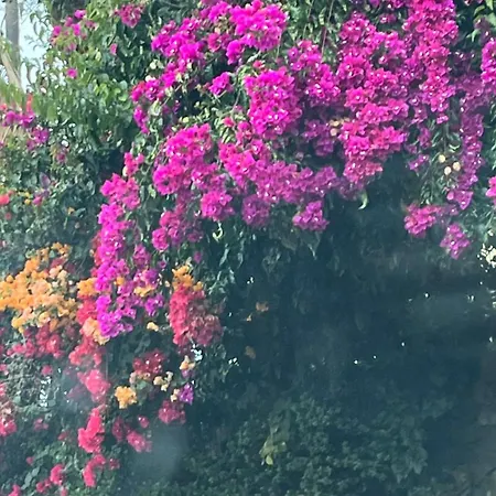 Apartamento Ankerplatz - Casa Juseli - Ruhe Und Erholung