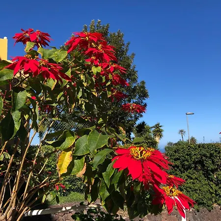 Ankerplatz - Casa Juseli - Ruhe Und Erholung Santa Úrsula